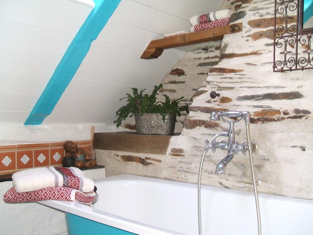 Le Petit Logis De Tinteniac Angers Bilik gambar